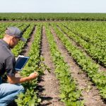 bandeau1440x810-agriculture