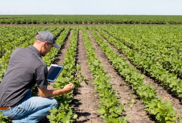 bandeau1440x810-agriculture